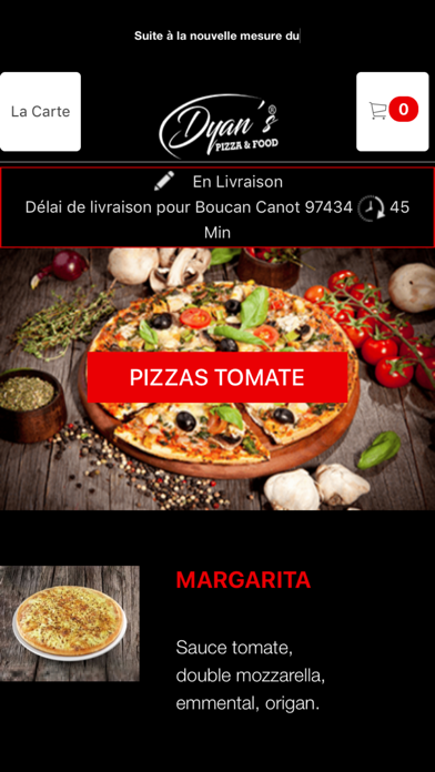 DYAN S PIZZA & FOOD Screenshot
