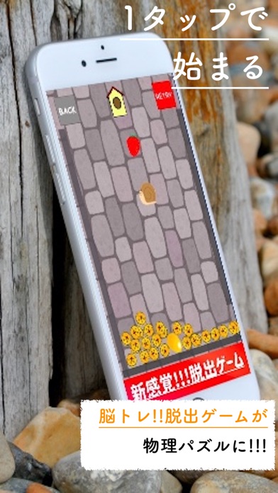 にゃんこ脱出ゲーム大策戦 たのしいゲームのおすすめ画像1