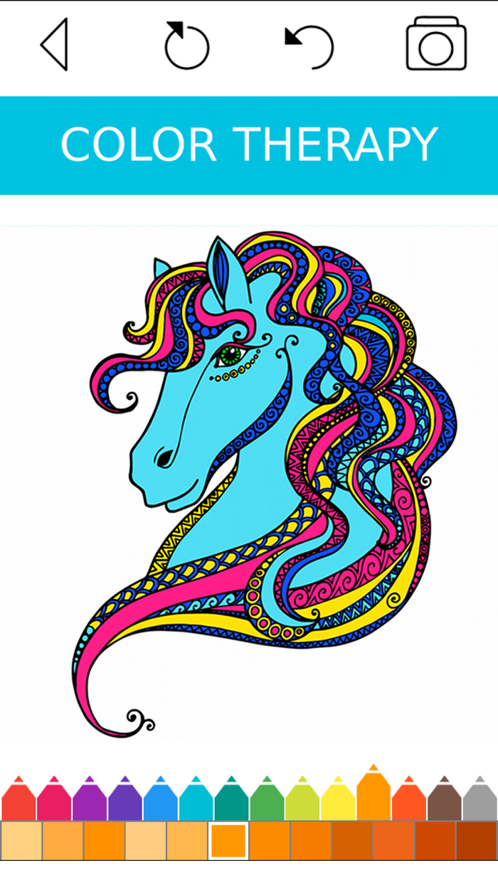 Animal Coloring Book -