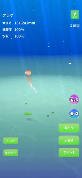 Game screenshot Jellyfish World mod apk