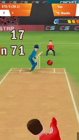 Game screenshot Cricket Star Pro apk
