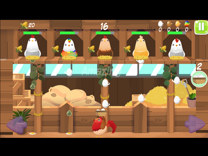 Chicken Egg Collector