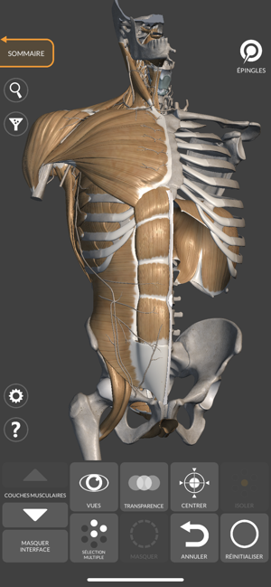 ‎Anatomie 3D pour l'Artiste Capture d'écran