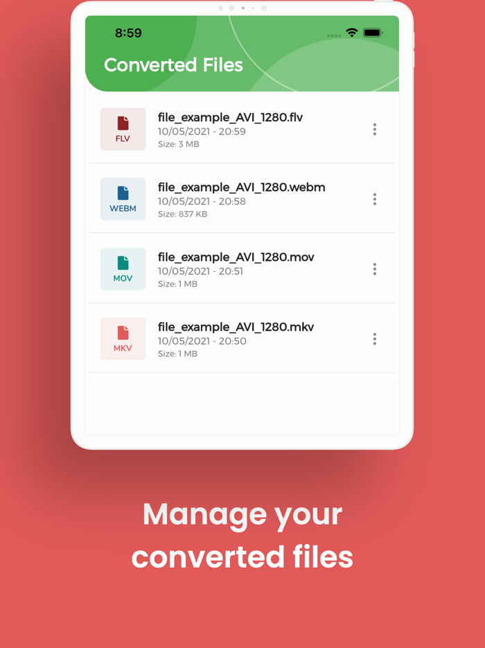 MKV Converter MKV to MP4