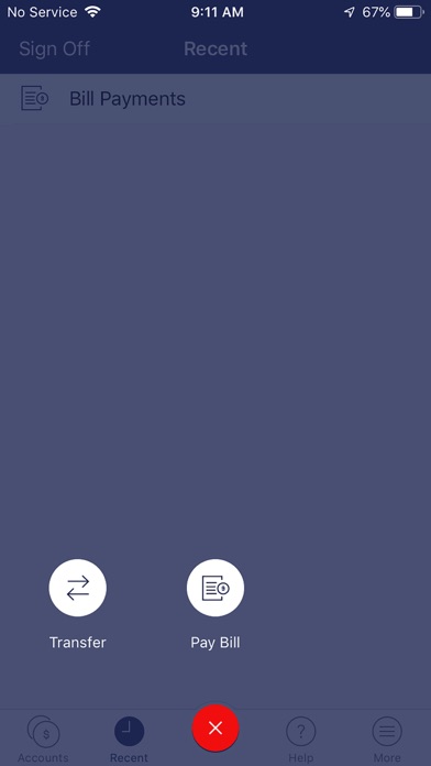 FNB Picayune Bank Screenshot