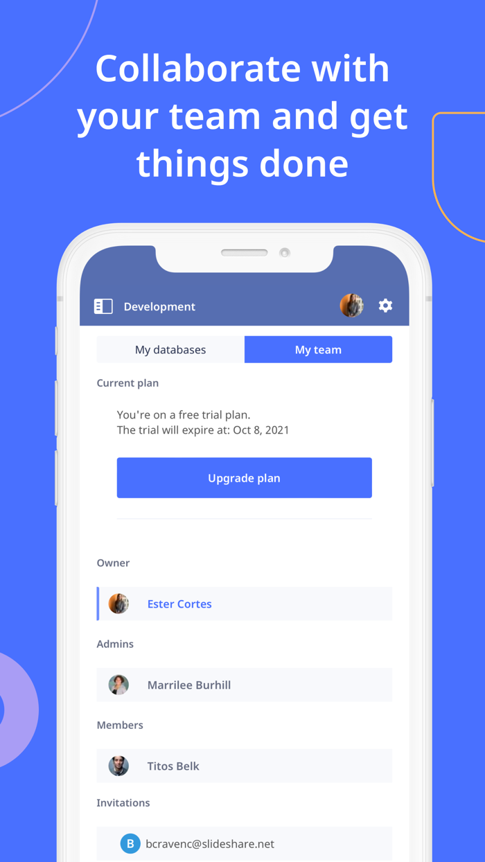 Ninox Database for iPhone
