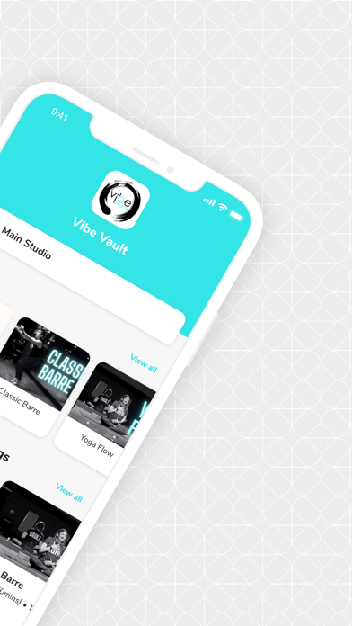 Vibe Vault Fit 2.0 (NEW) Screenshot