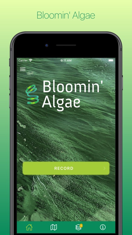 Bloomin' Algae