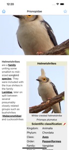 Encyclopedia of Birds screenshot #6 for iPhone