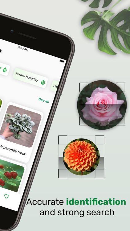 Plantinapp : Plant Identifier