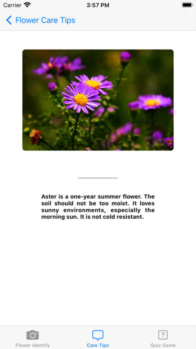 Flower Identify Screenshot