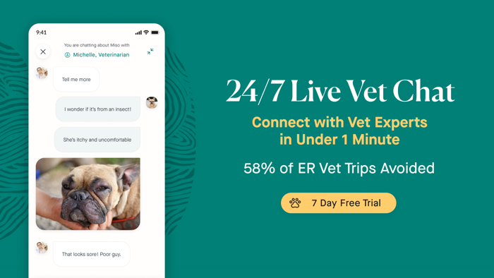 Fuzzy Trusted Pet Care 24/7