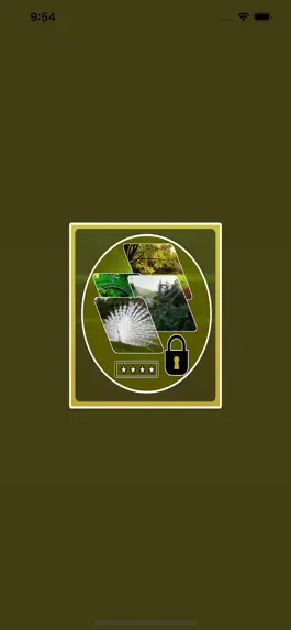 Game screenshot Digital Private Vault: SaFeIT mod apk