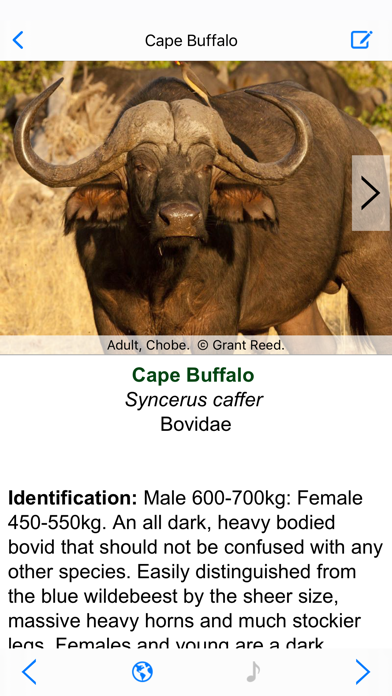 Botswana Wildlife Guide Screenshot