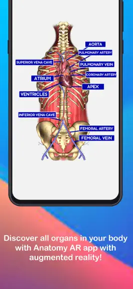 Game screenshot Anatomy AR 4D -Virtual T-Shirt apk