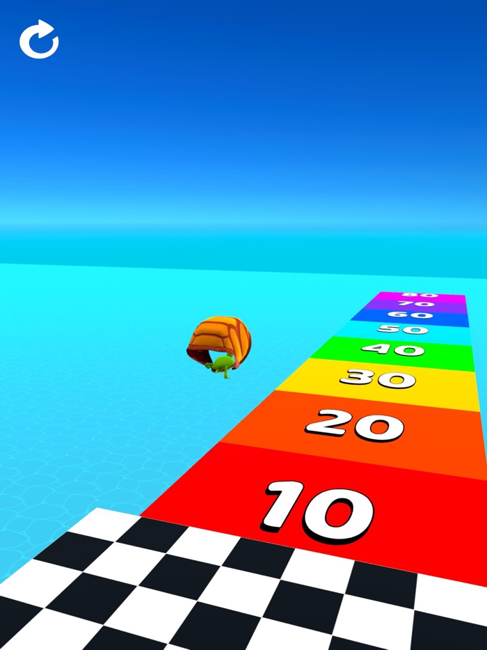Turtle Race 3D