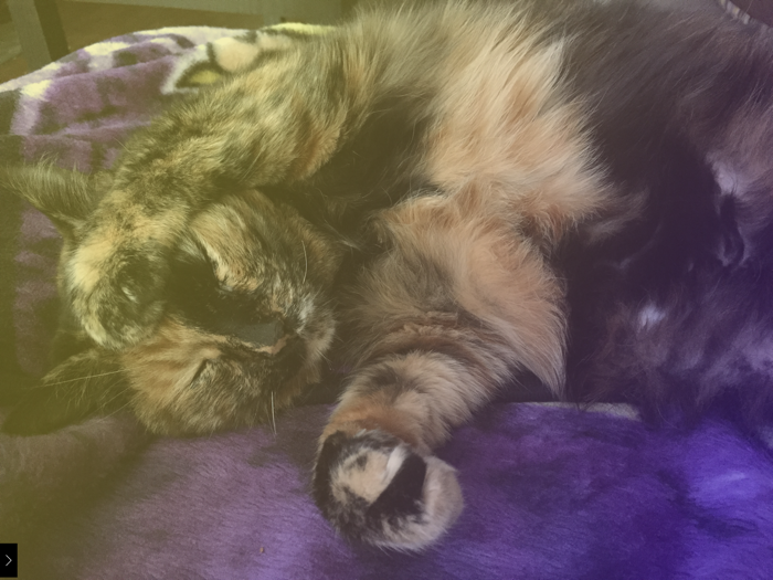 GradientMaker - Pro Image FX