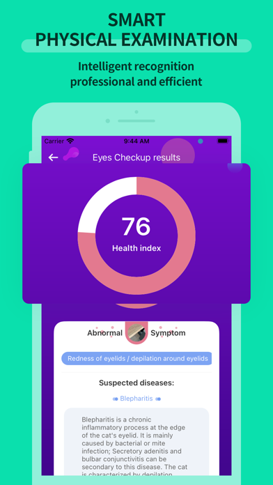 Screenshot #1 pour Domeow