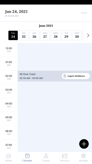 Salon Works Screenshot