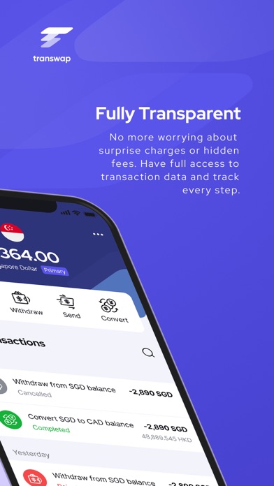 TranSwap Screenshot
