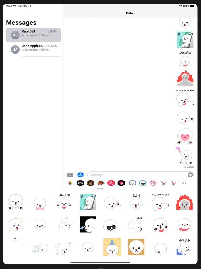 ビションのヤルレくん