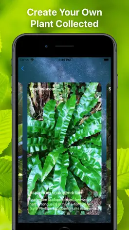 Game screenshot Plant Finder Tree identifer hack