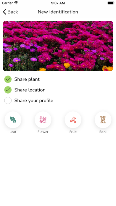 Herbal and Natural Medicine Screenshot