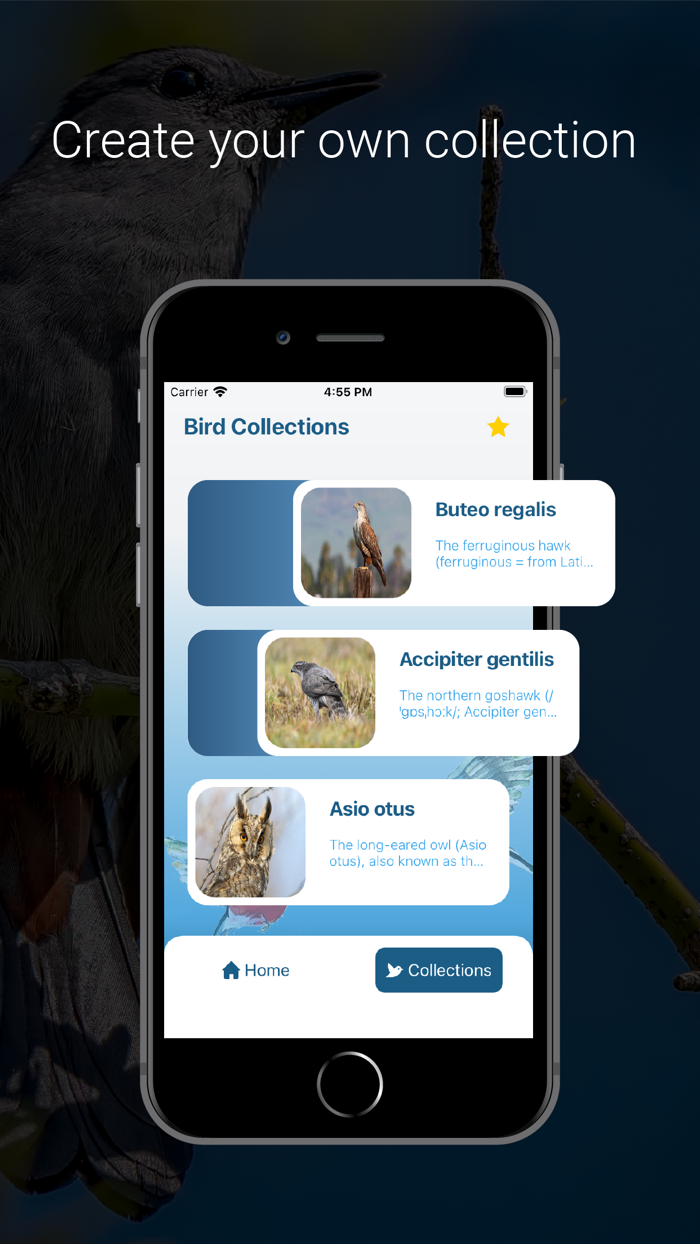 Bird Identifier - Picture Bird