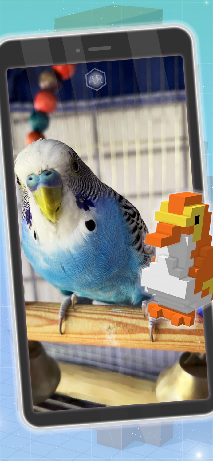 Blocks Builder - 3D and AR App