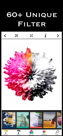 Game screenshot Royal Color Pop - B/W Effects hack