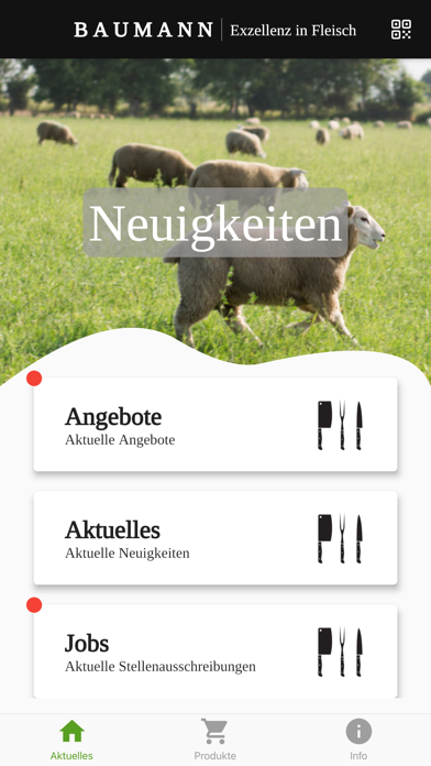 Baumann Screenshot