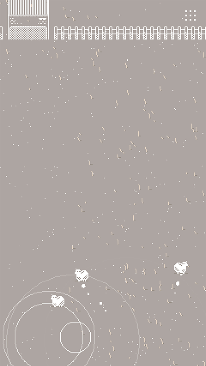 Shepherd lead sheep to goal