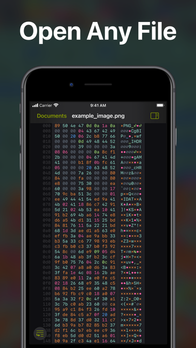 Hexer — Hex File Viewerのおすすめ画像1