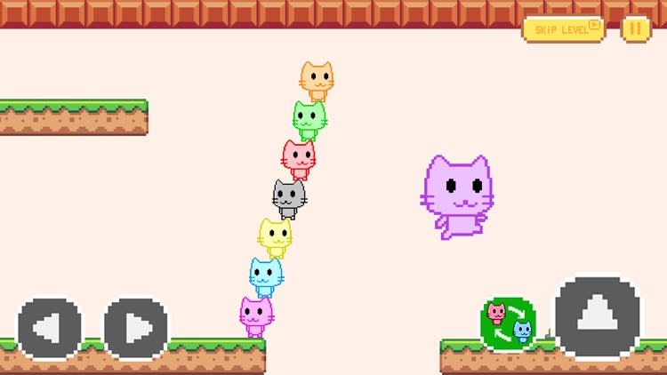 Rescue Cats Team