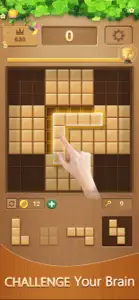 Block puzzle Casual game woody screenshot #1 for iPhone