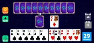 Gin Rummy Offline Plus screenshot #1 for iPhone