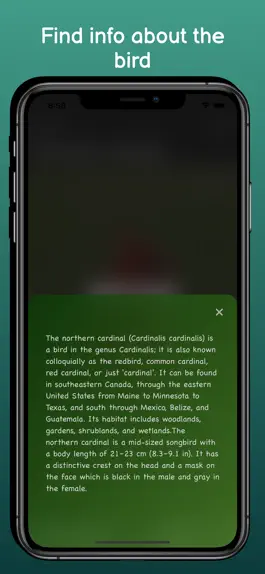 Game screenshot Bird Sounds - Pure Nature hack