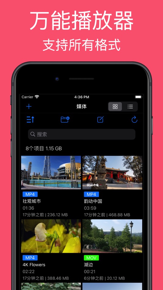 #1. 万能播放器 - avi、wmv、mkv本地视频解码播放 (iOS) 由: 涛 罗