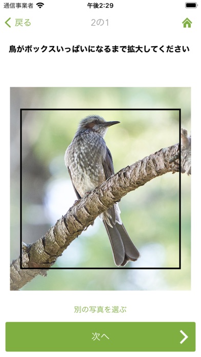 Merlin Bird ID by Cornell Labのおすすめ画像3