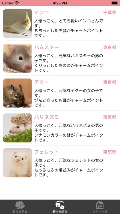 小動物の写真と動画・アニマロ