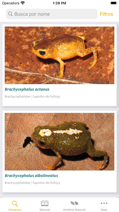 Anfíbios da Mata Atlântica Screenshot