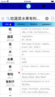 hsk search 3 dictionary iphone screenshot 1