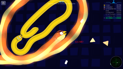 Snake Fun Slither IO Game Hole Screenshot