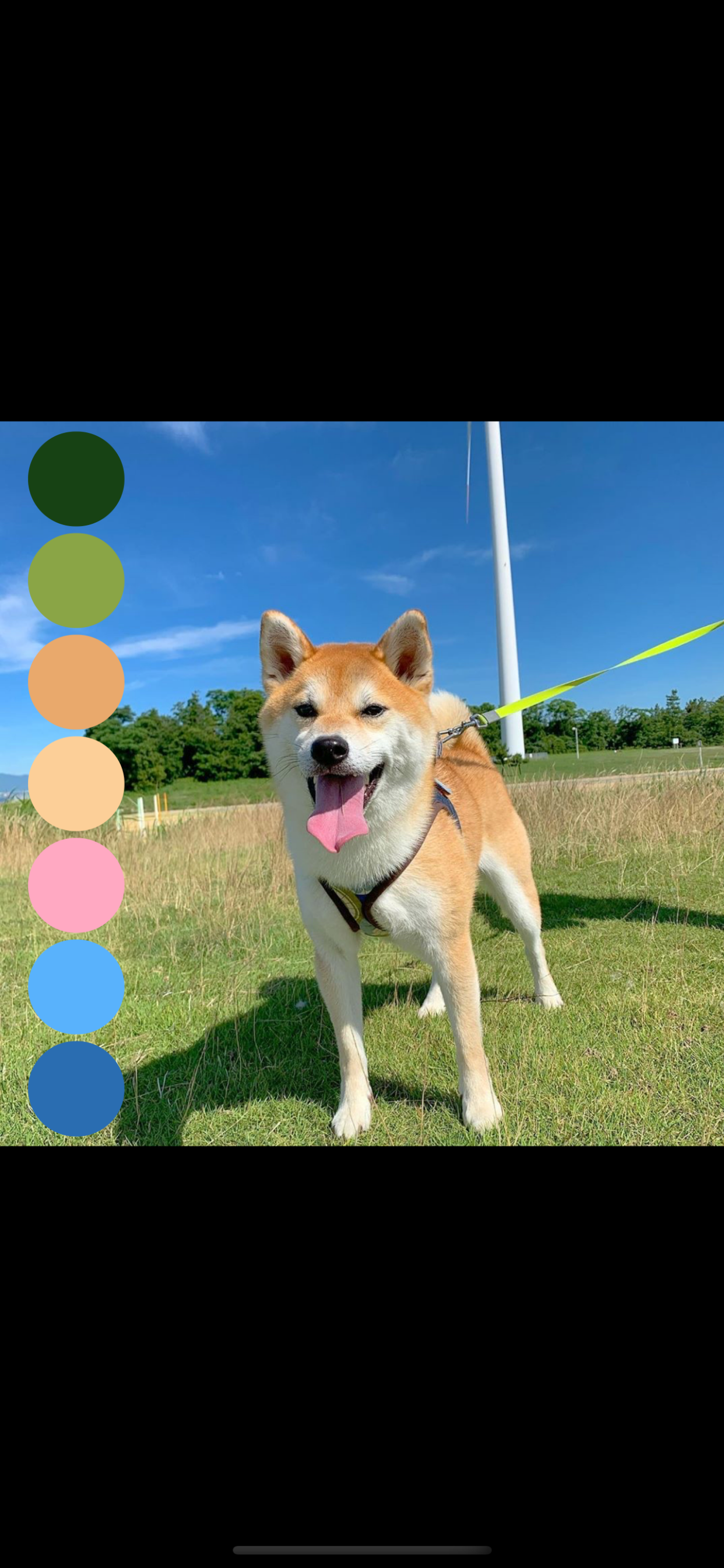 ColorPalette: Swatch Maker screenshot 6