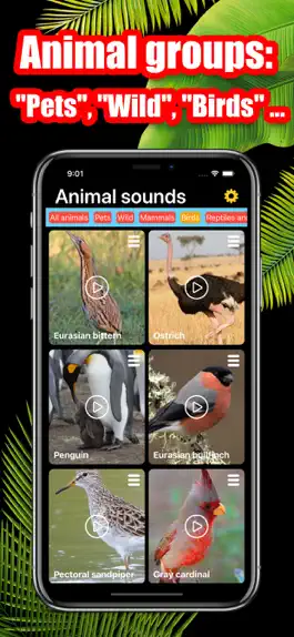 Game screenshot Animal Sounds ® hack