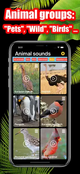 Game screenshot Animal Sounds ® hack