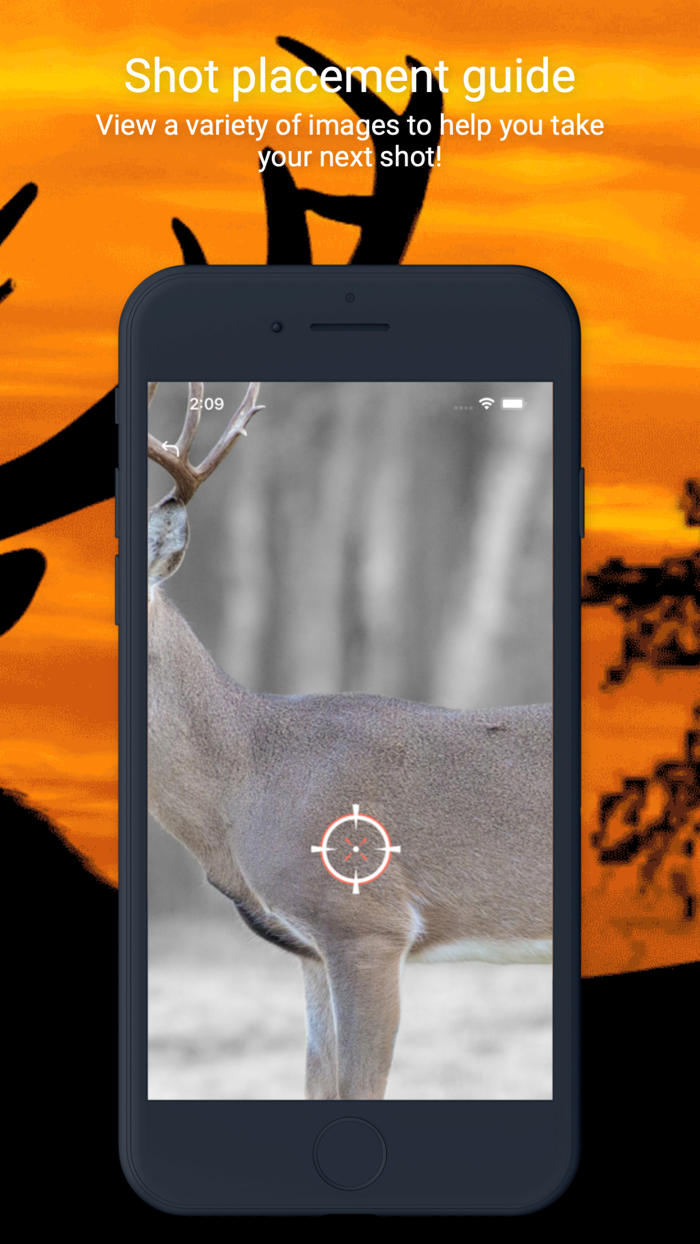 International Hunters