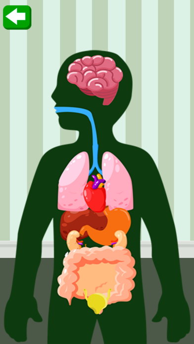 Learn the Body Parts Screenshot