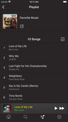 Music Library - MP3 Player screenshot 4