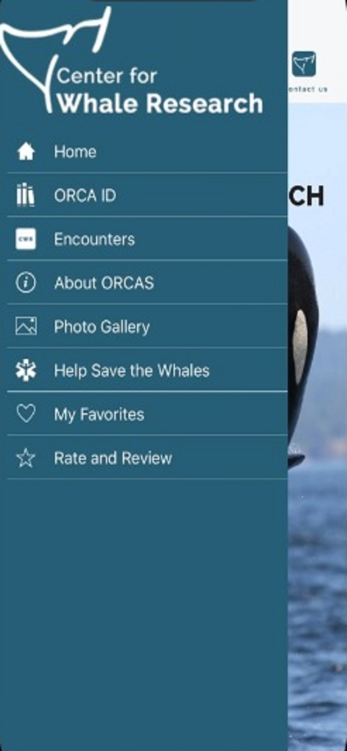 Center for Whale Research
